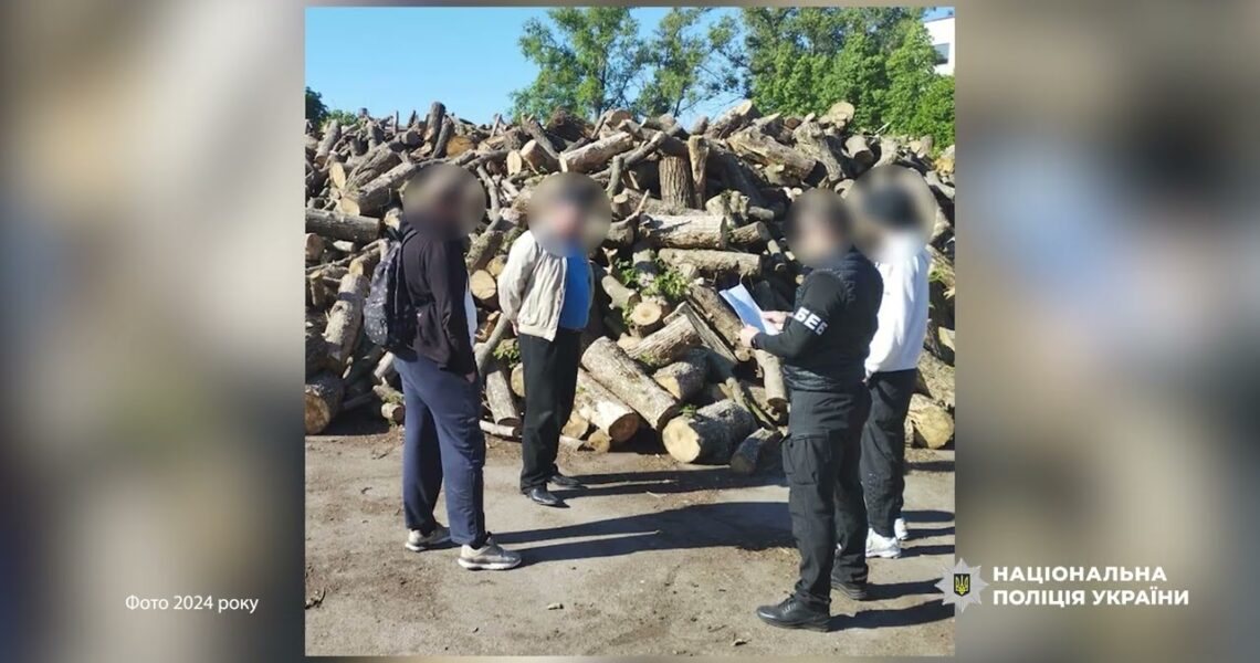 Учасники злочинної організації отримали підозри за розтрату 90 млн під час закупівлі дров для ЗСУ