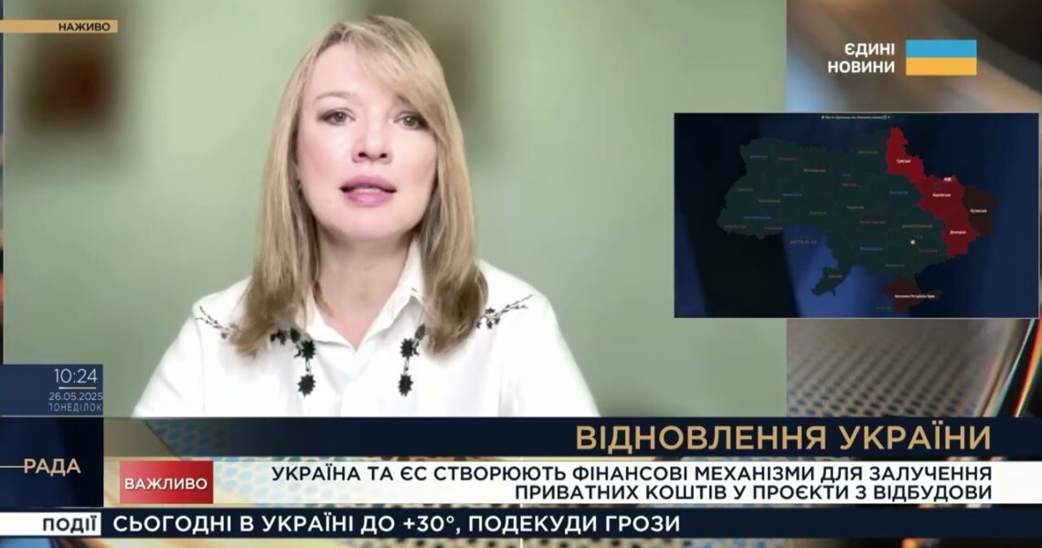 Відбудова України: Як залучатимуть приватні інвестиції з ЄС | Олена Шуляк