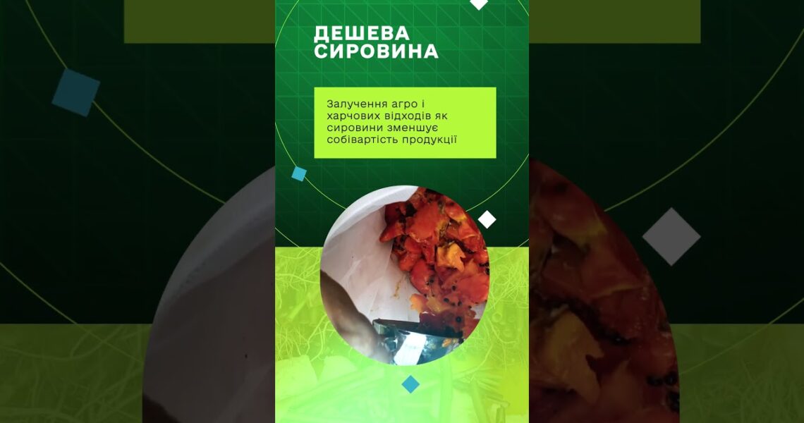 Навігатор із формування пропозиції на продукцію чорної львинки та її реалізації на ринку