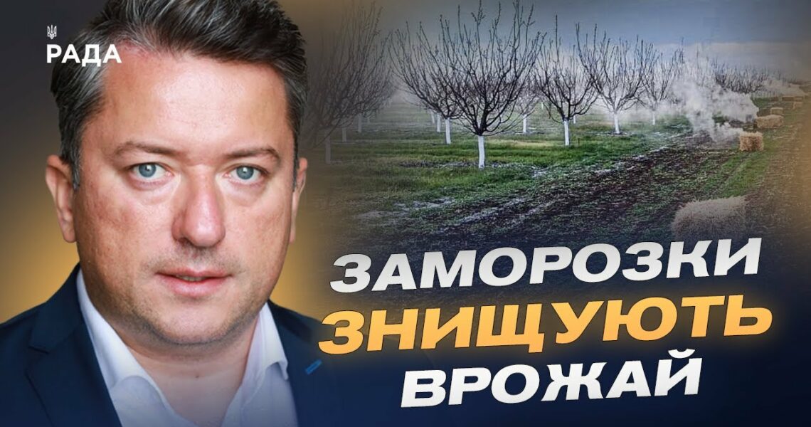 Заморозки ЗНИЩУЮТЬ врожай: що буде з цінами на фрукти та зерно? | Дмитро Соломчук
