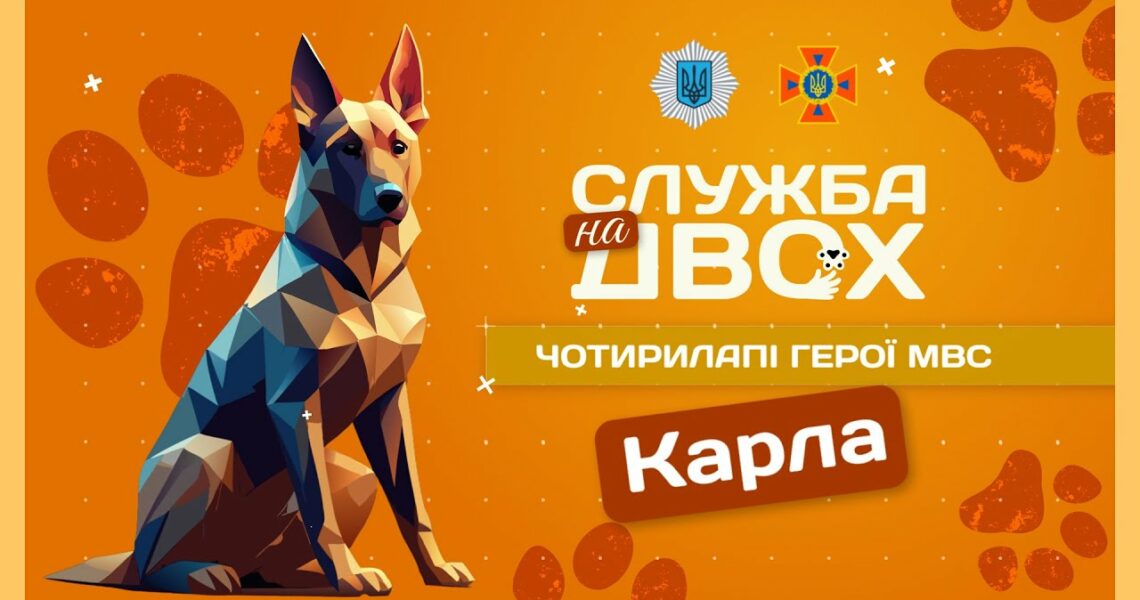 🐶 Карла - собака, що має ліричний характер і непросту місію | Служба на двох