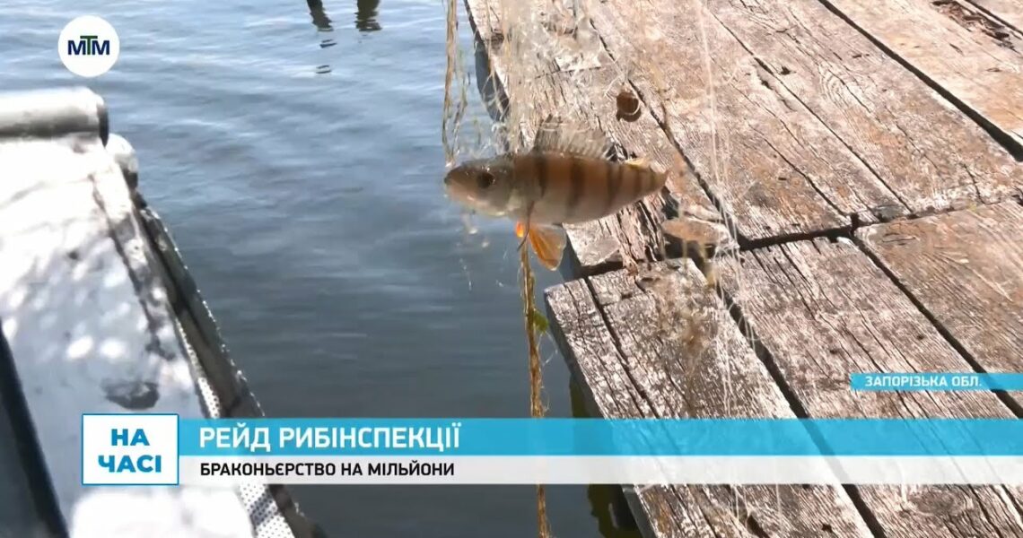 Як запорізьку рибу рятують від браконьєрів