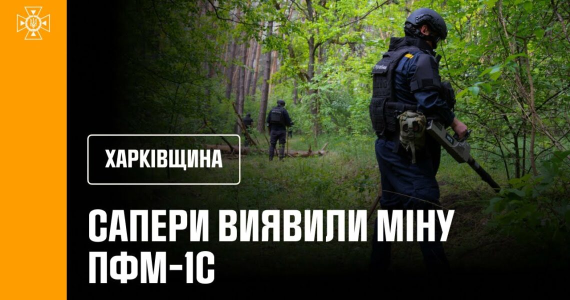 Сапери ДСНС розміновують ліси Ізюмщини: знайдено «пелюстку»