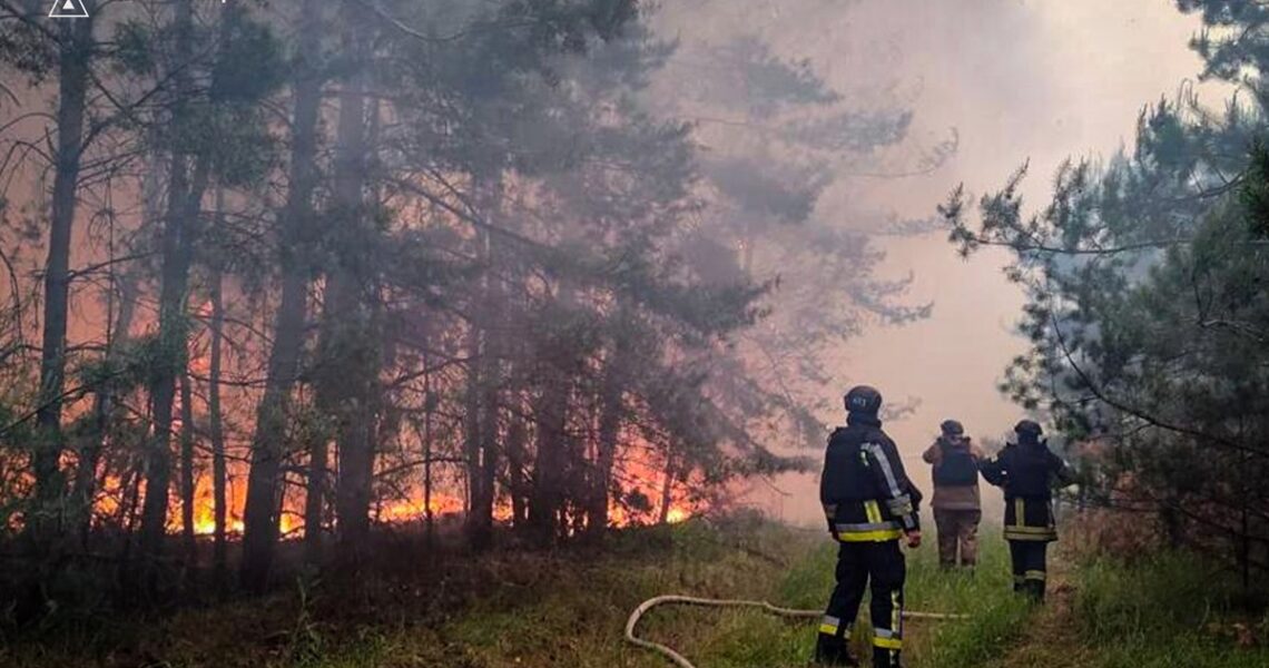 Новини України - На Харківщині локалізували масштабну лісову пожежу