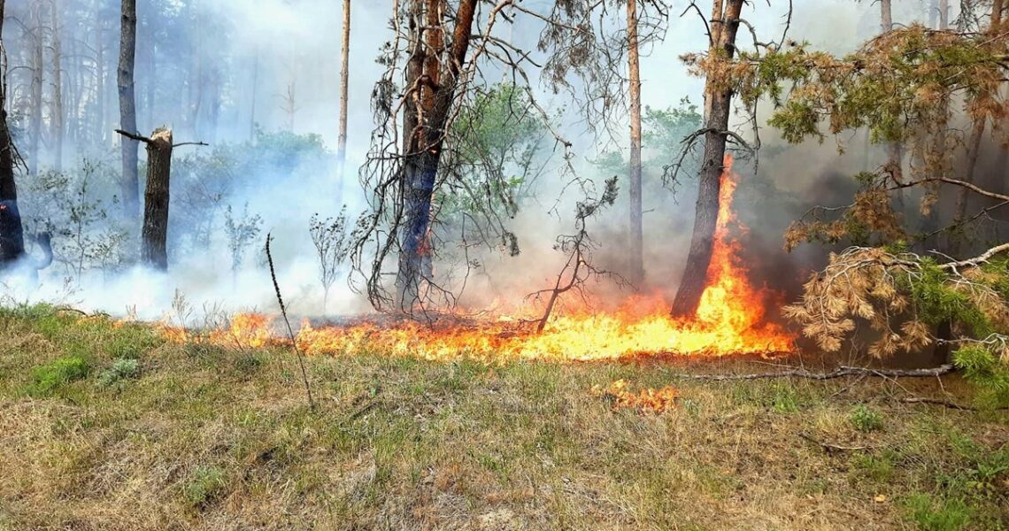 Новини України - На Харківщині триває ліквідація 11 лісових пожеж