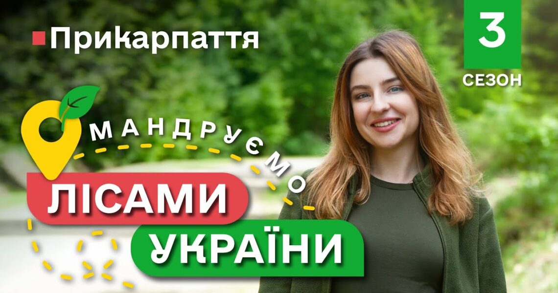 Карпатські ГОЛУБЦІ / унікальні локації КАРПАТ / Мандруємо ЛІСАМИ УКРАЇНИ #10 випуск