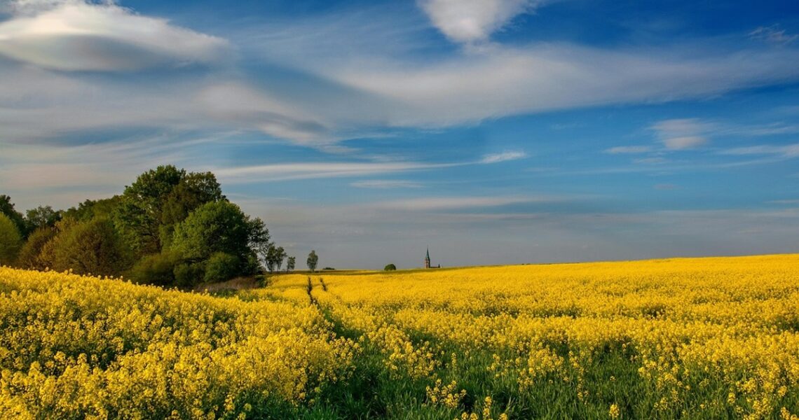 Новини культури - Гороскоп для всіх знаків зодіаку на 12 червня 2025 року