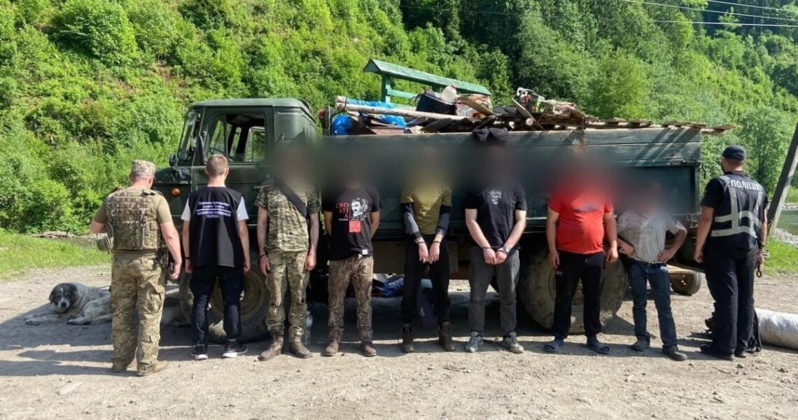 Новини України - Кози, свині й ухилянти - на Закарпатті викрили схему перевізників