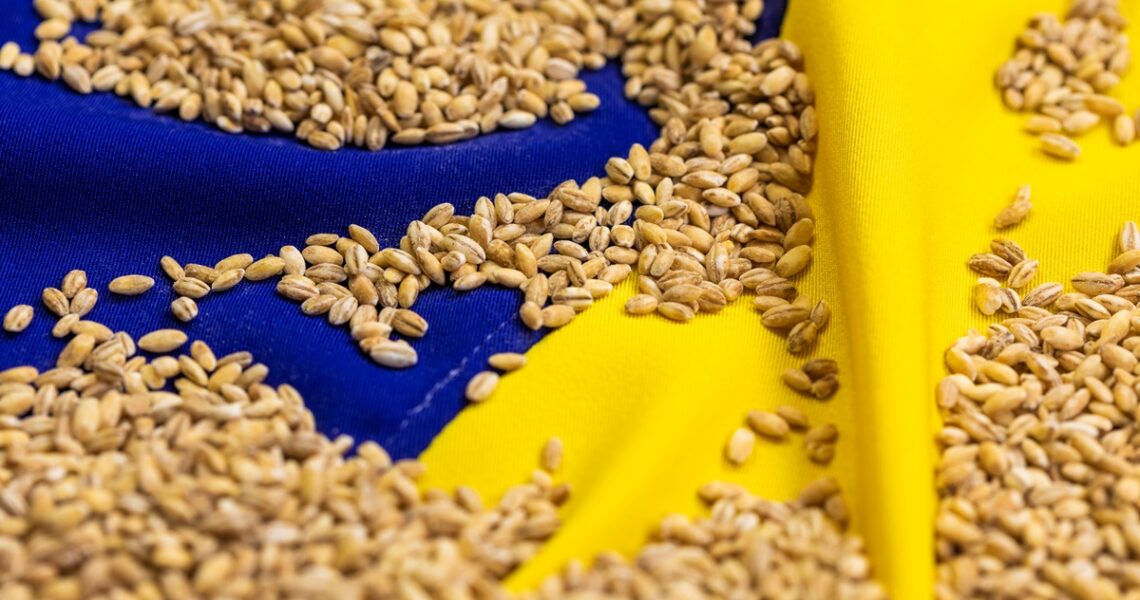 Новини бізнесу - Став відомий найбільший імпортер агропродукції України серед країн ЄС