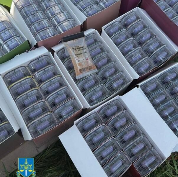 Новини України - В Україні викрили міжнародний канал наркопостачання