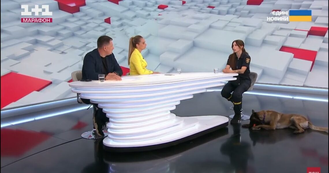 75 чотирилапих рятувальників працюють у складі ДСНС України