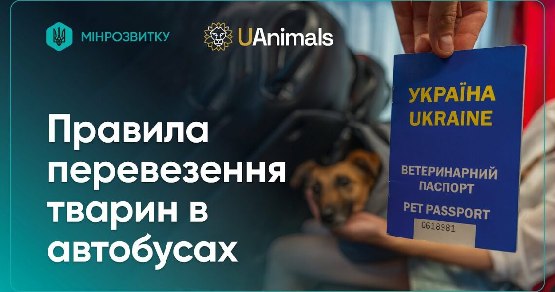 Правила перевезення домашніх тварин в автобусах: пояснює Рижуля