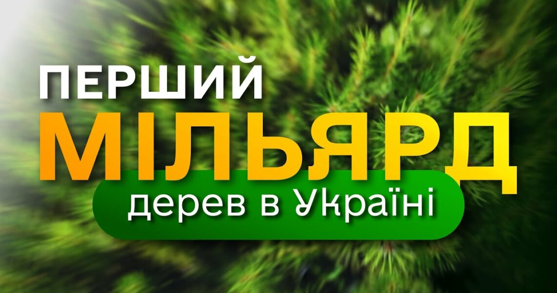 МІЛЬЯРД дерев в Україні / програма Президента ЗЕЛЕНА КРАЇНА / як ДП "Ліси України" вирощує сіянці