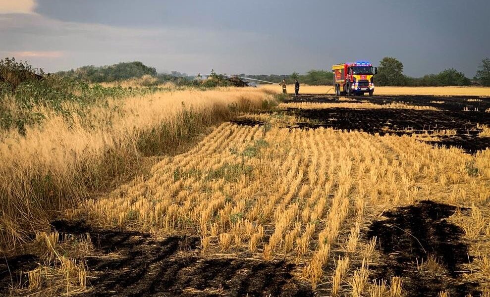 Новини України - На Миколаївщині вигоріло 70 гектарів пшениці