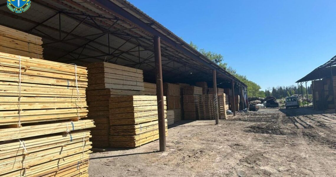 Новини України - На Житомирщині судитимуть посадовців за розкрадання лісу