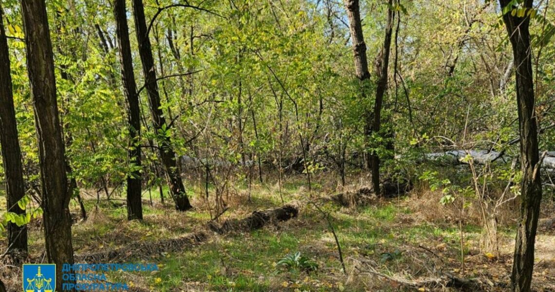 Новини України - Незаконна вирубка лісу на Дніпропетровщині призвела до 34 млн збитків