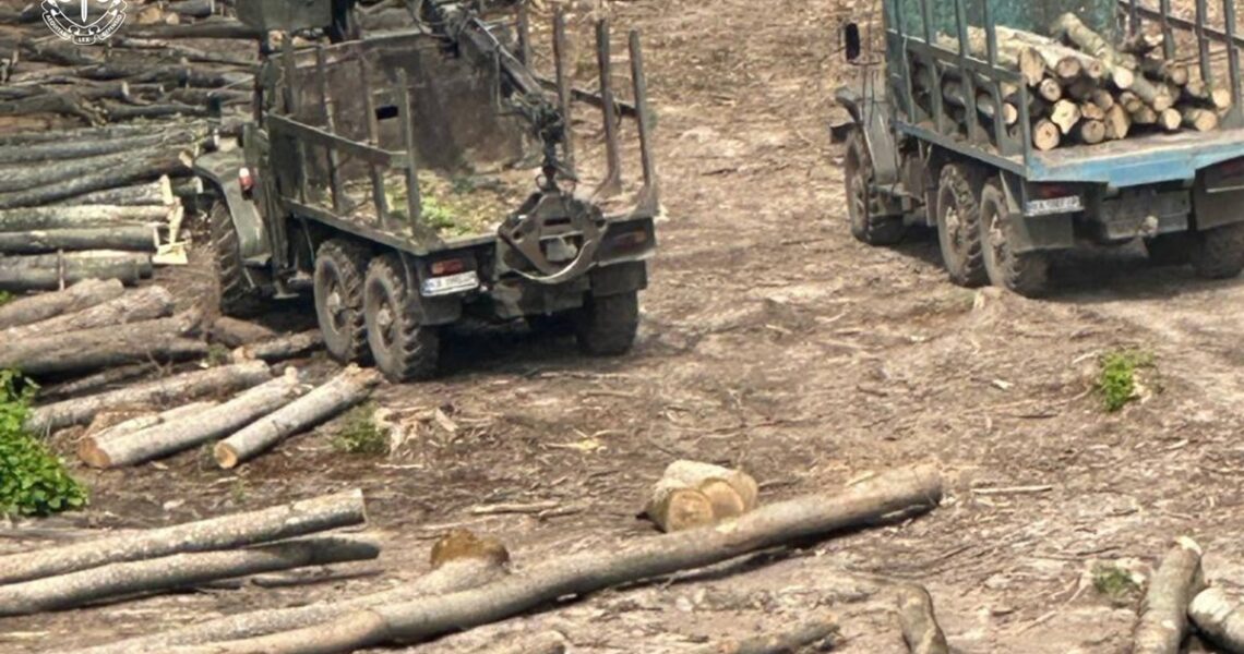 Новини України - Повідомлено про підозри 13 працівникам Ліси України та ЛІАЦ