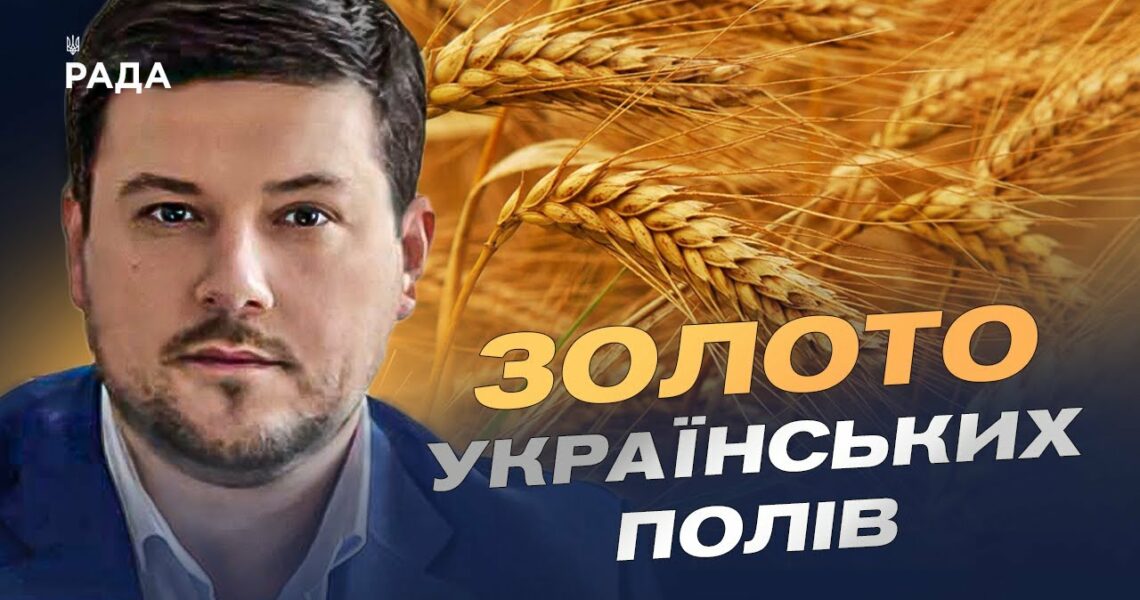 Український хліб 2025: як ідуть жнива та які прогнози | Денис Марчук