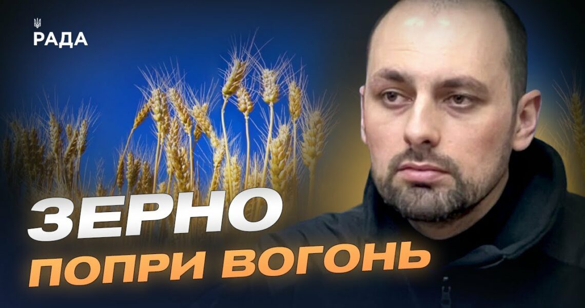 Українське зерно на світових ринках: результати та перспективи | Олександр Семирга