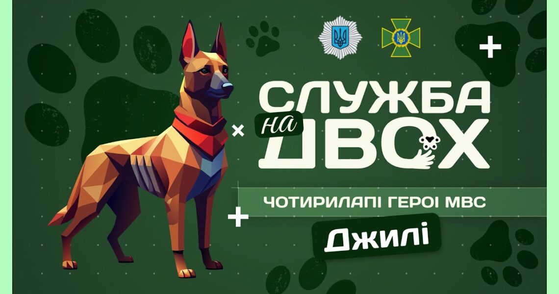 🛂 ДЖИЛІ - собака-прикордонниця після окупації | Служба на двох