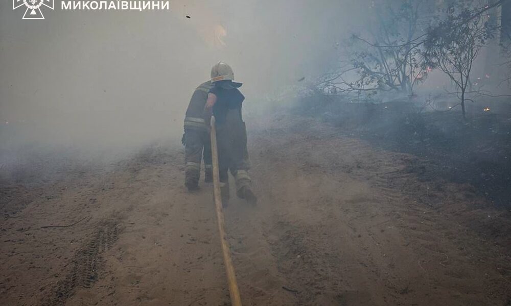 Новини України - На Миколаївщині вигоріло 93 гектари території