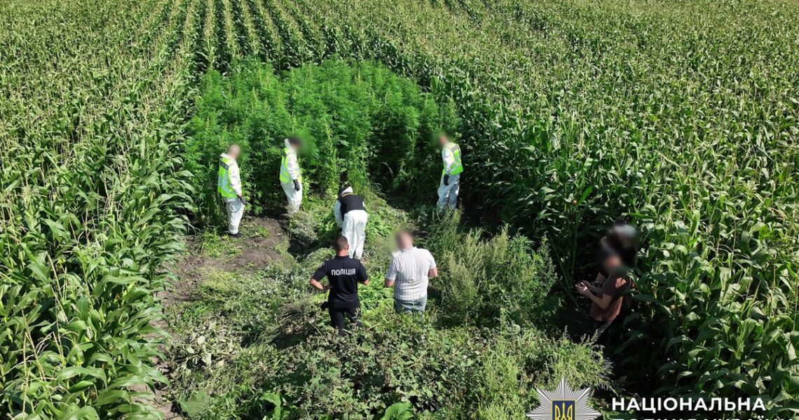 Новини України - В Україні провели масштабну операцію Джентельмени