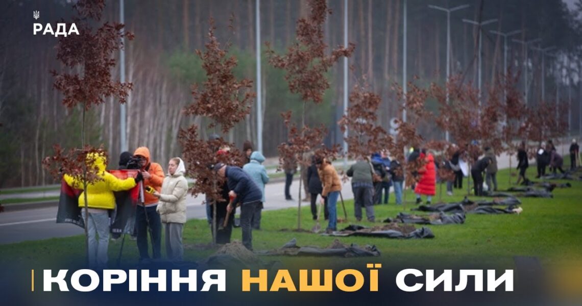 Кожен дуб – історія життя та подвигу полеглого воїна