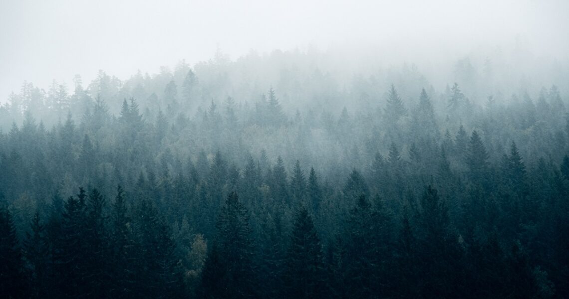 Новини України - Без опадів, але з туманами: погода на початку тижня