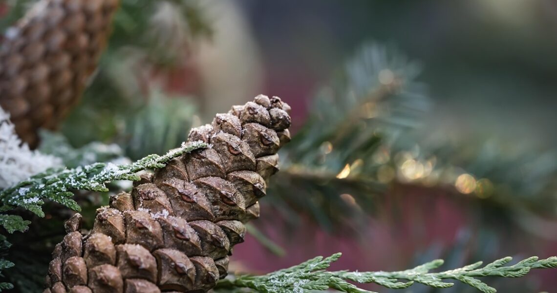 Новини культури - Гороскоп для всіх знаків зодіаку на 19 грудня 2025 року