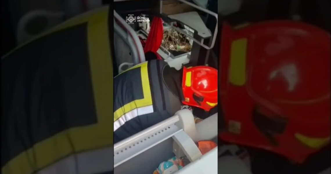 Франківщина. Автобус із 30 пасажирами злетів у кювет: один загиблий, п’ятеро поранених