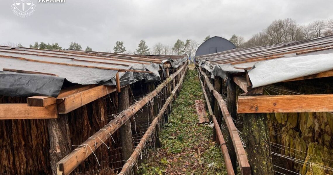 Новини України - На Хмельниччині викрили підпільне виробництво тютюну