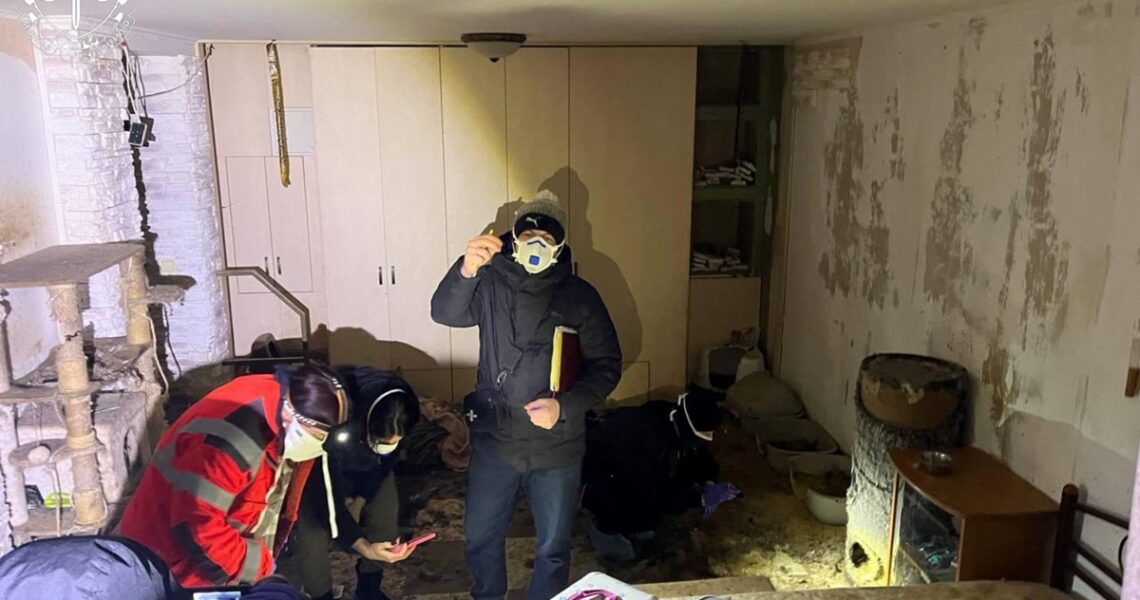 Новини України - На Київщині розслідують загибель понад 50 котів