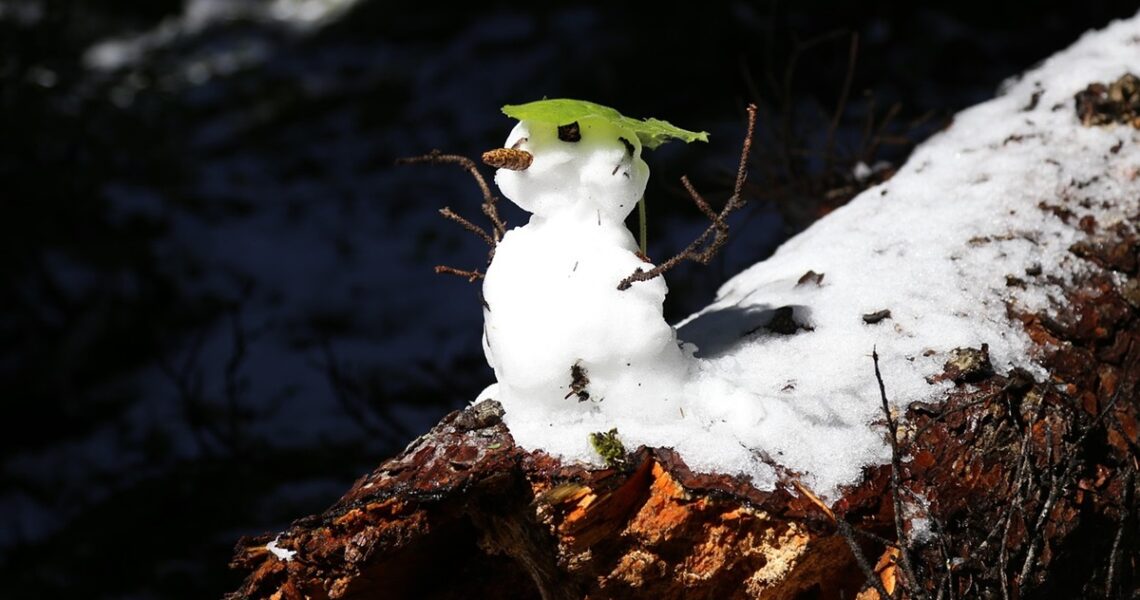 Новини України - Синоптики дали прогноз погоди на січень 2026 року
