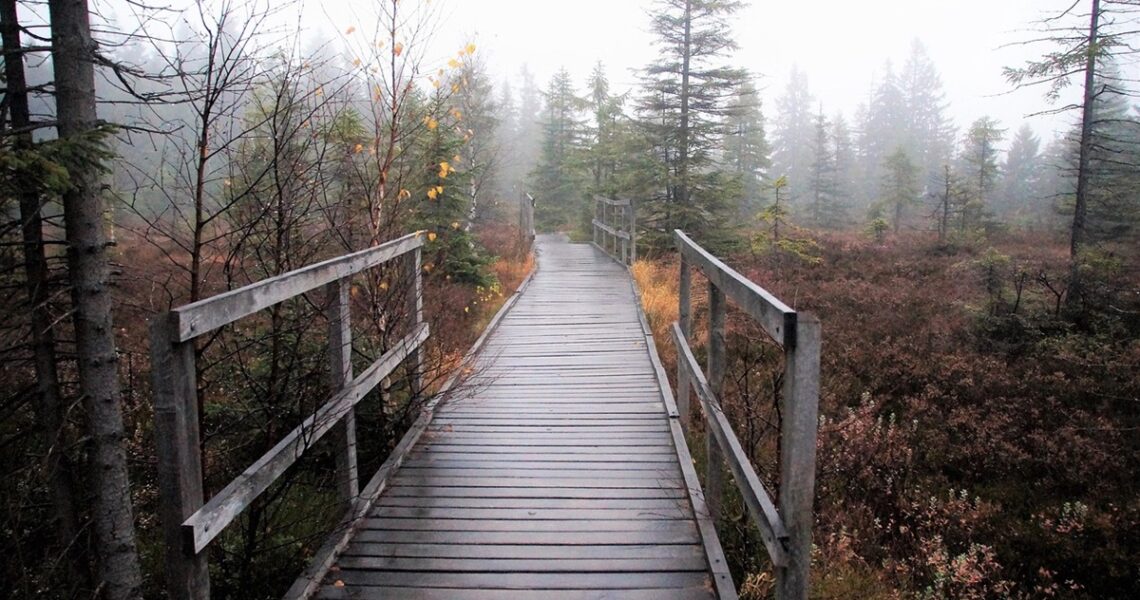 Новини України - Синоптики розповіли, якою буде погода в Україні на вихідних