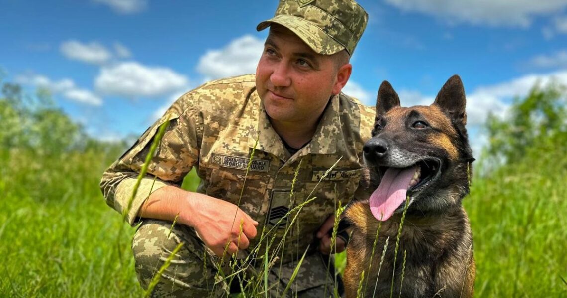 Новини України - Собаки - герої України: відбулася третя церемонія нагородження