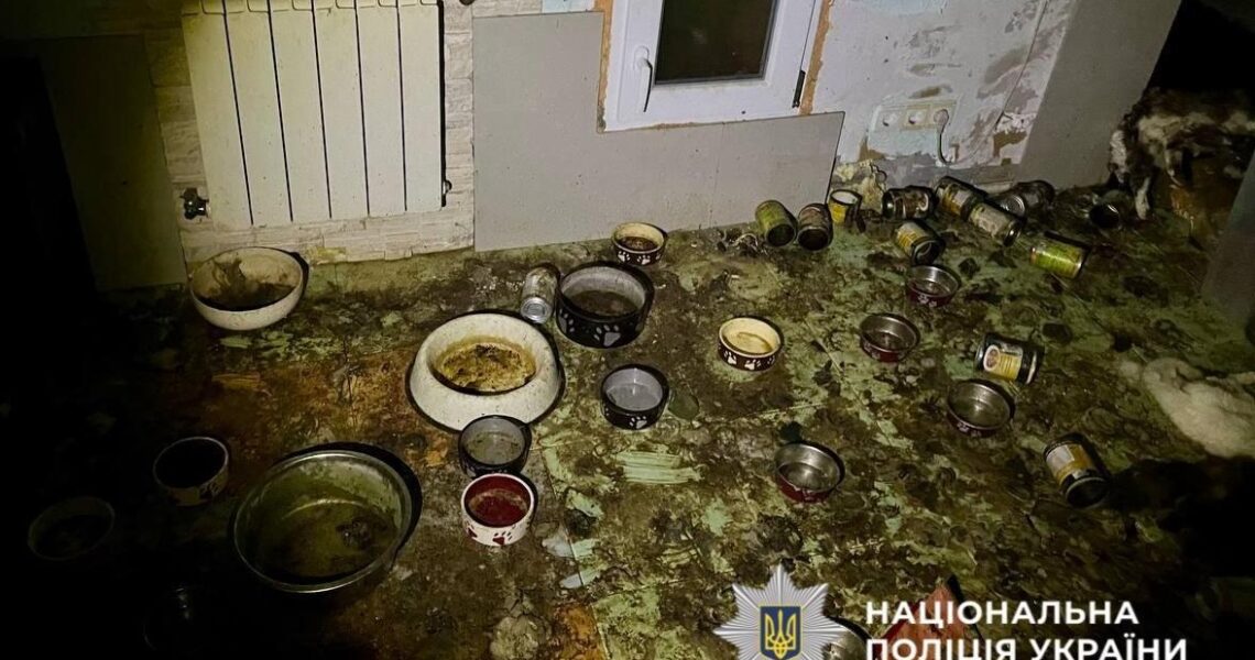 Новини України - Загибель понад 50 котів на Київщині: стали відомі нові деталі