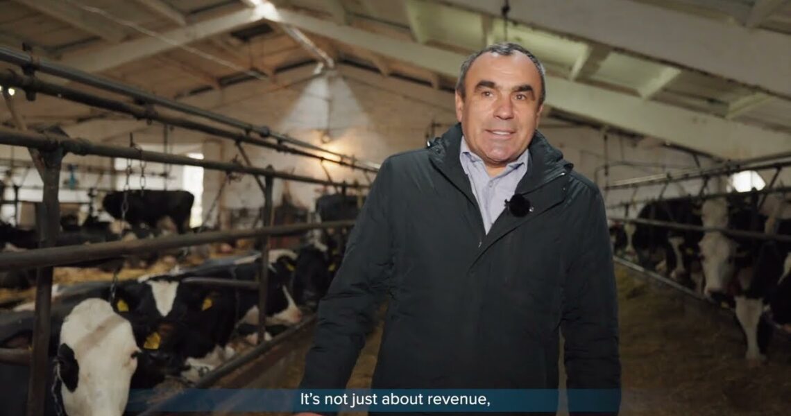 ARISE: Історії стійкості – відеопроєкт про результати підтримки українського бізнесу