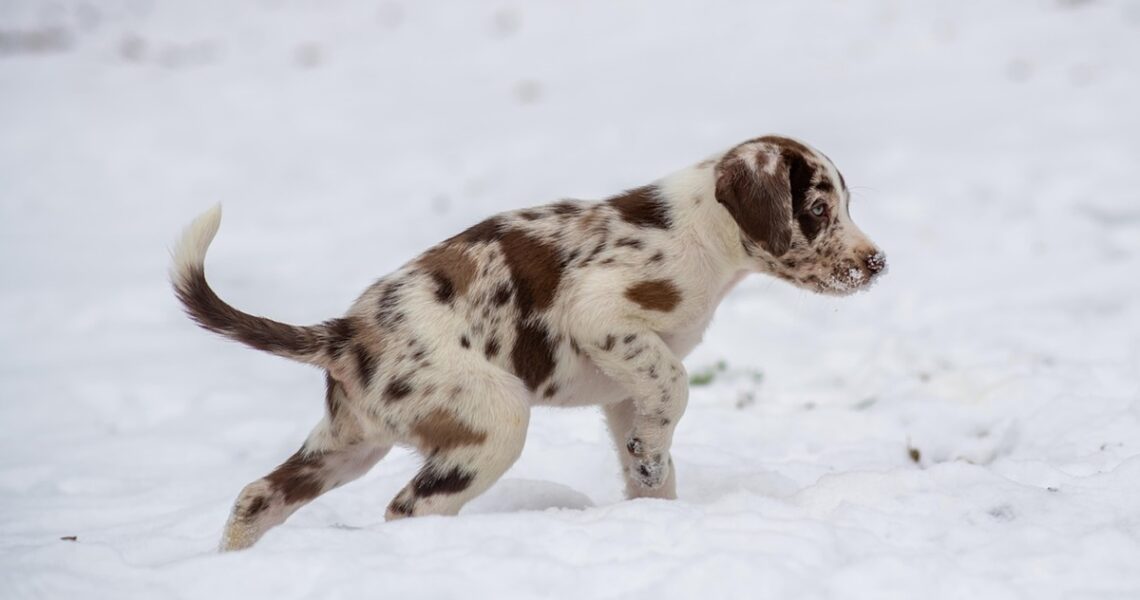 Новини культури - Гороскоп для всіх знаків зодіаку на 14 січня 2026 року