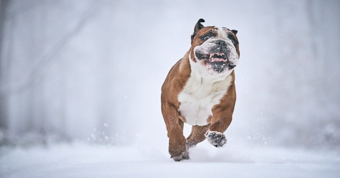 Новини культури - Гороскоп для всіх знаків зодіаку на 15 січня 2026 року