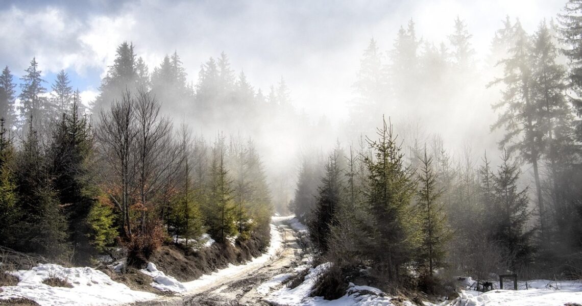 Новини культури - Гороскоп для всіх знаків зодіаку на 16 січня 2026 року