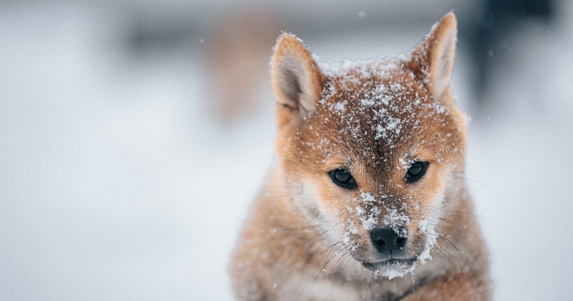 Новини культури - Гороскоп для всіх знаків зодіаку на 7 січня 2026 року