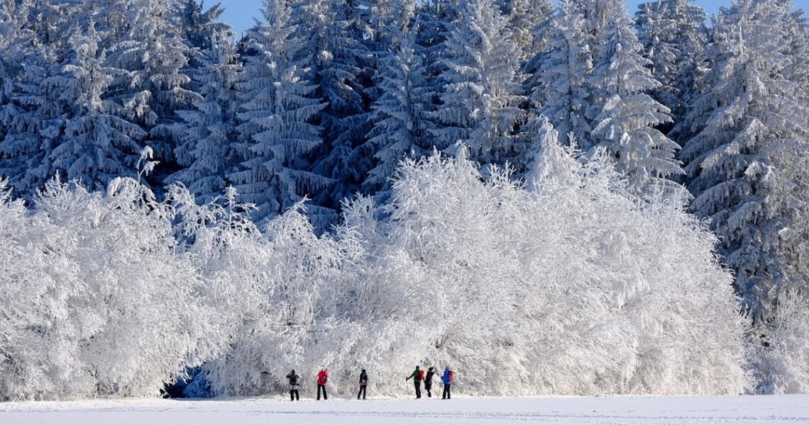 Новини культури - Гороскоп для всіх знаків зодіаку на вихідні 10-11 січня 2026 року